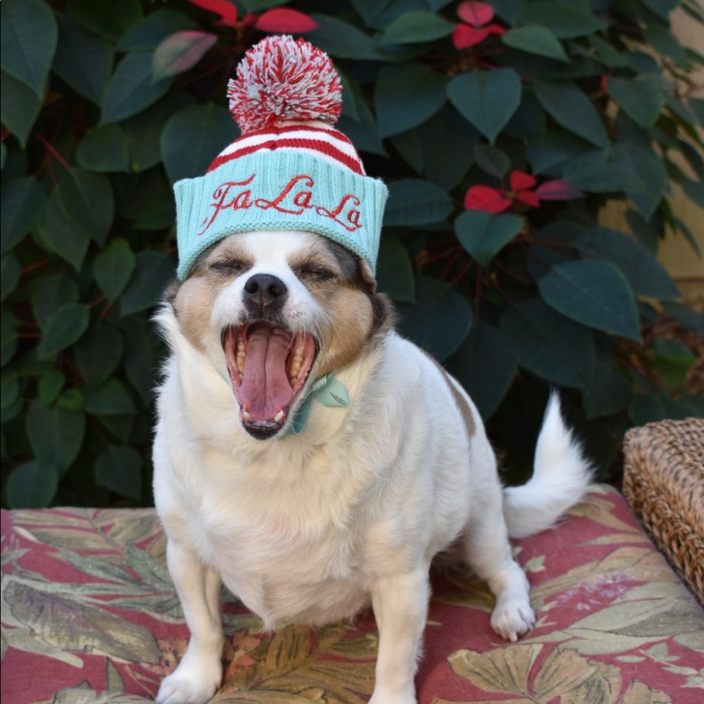 Meet your Posher, Shannon